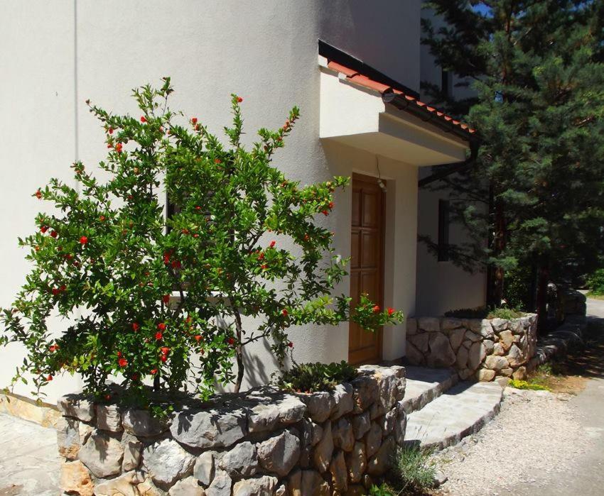 Apartmani Juliska بيروفاتش المظهر الخارجي الصورة